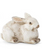 Bunny, Gray Resin, Lying Down