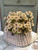 *NEW* Bush, Courtland Cosmos