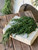Hanging Green, Emerald Falls Soft Touch Cedar, 28"