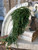 Hanging Green, Emerald Falls Soft Touch Cedar, 28"