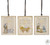 Ornament, Joyful Melody Mango Assorted