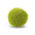 Mossy Balls, Bag of 12, MEDIUM