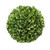  Boxwood Ball, LARGE