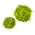 Moss Ball, SMALL