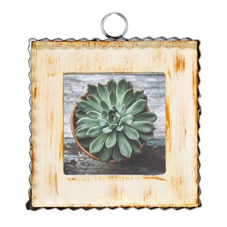 RoundTop Collection - Display Pieces - Page 1 - Bless Your Heart of Alabama