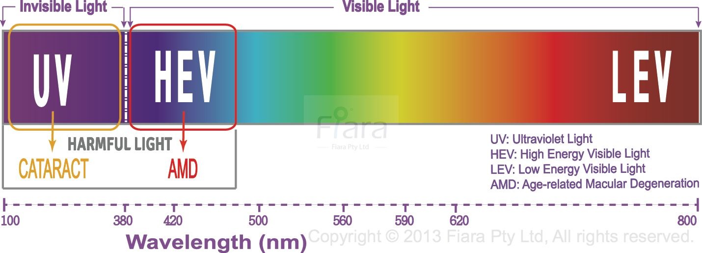 spectrum-bar-4-english-updated-1-wm.jpg