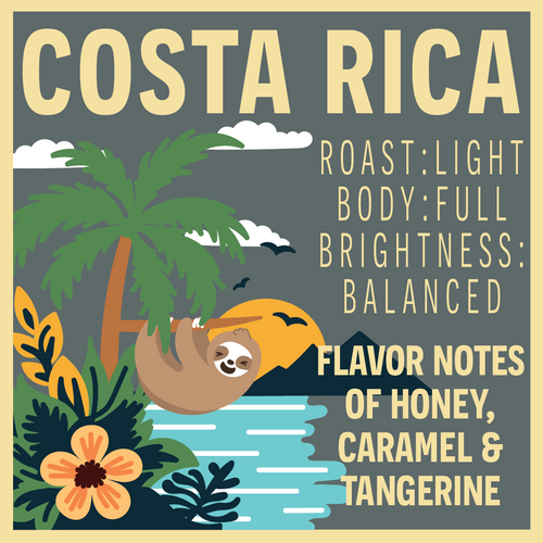 The coffee cherries that make up our Costa Rica coffee come from multiple small farms and are processed together at Cooperativa de Caficultores y de Servicios Múltiples de Palmares (Coopepalmares). This cooperative is home to state-of-the-art processing equipment and consistently produces high-quality green coffee that’s sent all over the world. This specific variety is named Monte Crisol, a special community blend of Costa Rican green coffee beans.

In our cupping profile, we’ve brought out the sweet and citrusy notes of this coffee that pair perfectly with its balanced brightness and its round, full body. A clean finish and lingering sweetness make a cup of our Costa Rica a unique and delicious choice to satisfy your coffee craving.

Cupping Profile
Roast: Light
Body: Full
Brightness: Balanced
Flavor Notes: Honey, caramel, tangerine

Origin Information
Region: Palmares, Alajuela Province, Costa Rica
Producer: Members of the Cooperativa de Caficultores y de Servicios Múltiples de Palmares (Coopepalmares)
Varietals: Caturra, Catuai
Altitude: 1300 masl
Processing: Eco-pulped, sundried on patios