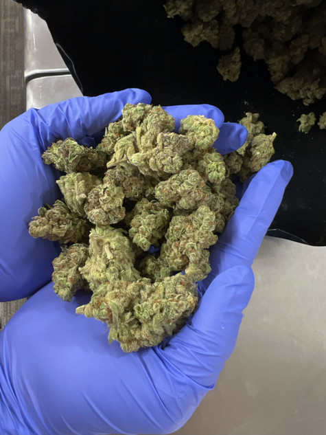 THCA Flower Indoor Exotics - 1/2 Pound