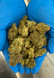 THCA Flower Indoor Exotics - 1 Pound