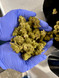 THCA Flower Indoor Exotics - 1/2 Pound