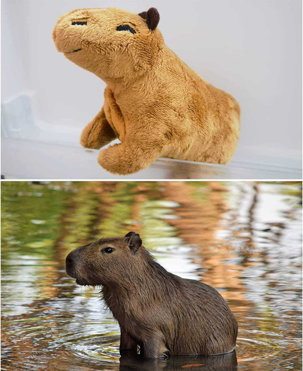 Jucarie Capibara Stuffed Animal Plush Capybara Capibara 19cm Small Kawaii Gifts - Imagine 2