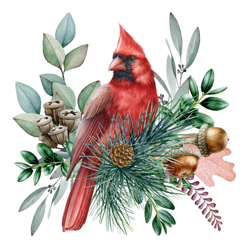 Red Cardinal Cocktail Napkin