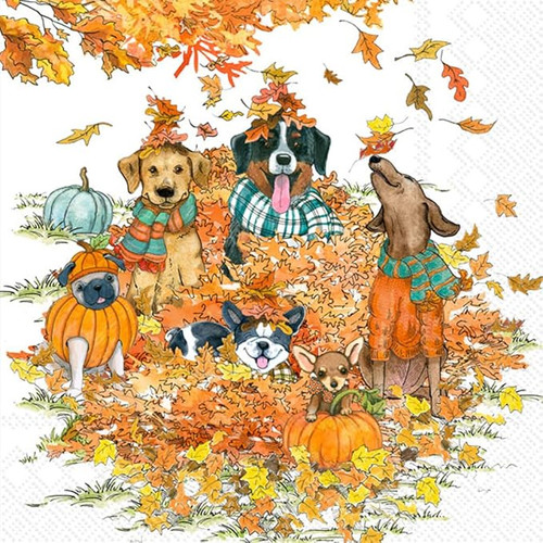 Autumn Dogs Cocktail Napkin, Thanksgiving Theme Autumn Dogs Cocktail Napkin, Thanksgiving Theme