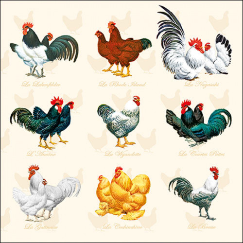 Wyandotte Hens Lunch Napkin Wyandotte Hens Lunch Napkin