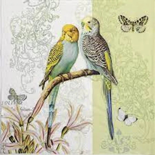 Budgies Parrot Lunch Napkin