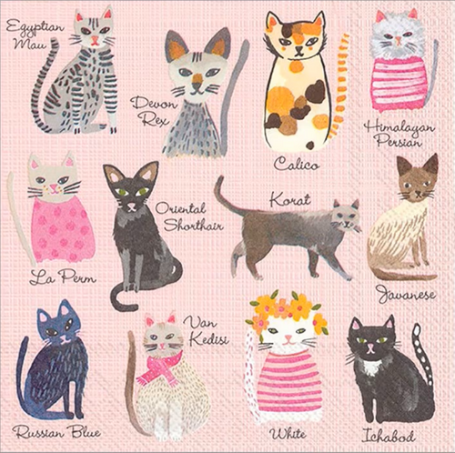 Cool Cats Cocktail Napkin Decoupage