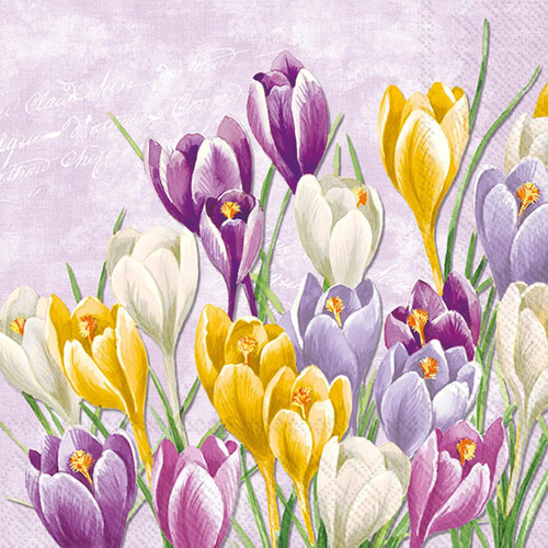 Blooming Crocus Lilac Cocktail Napkin, Decoupage