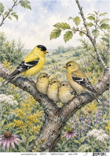 Goldfinch Family A4 Decoupage Rice Paper
