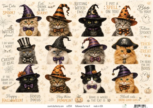 assorted cats Halloween Furries II