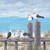 Seagulls on the Dock Coastal Lunch Napkin Decoupage