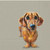 Dog Buddy Dachshund Lunch Napkin