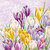 Blooming Crocus Lilac Cocktail Napkin, Decoupage