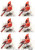 Northern Cardinal A4 Decoupage Rice Paper