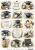 Graduation Day A4 Decoupage Rice Paper