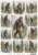 Bigfoot Country A4 Decoupage Rice Paper