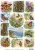Monarch Butterfly A4 Decoupage Rice Paper, Assorted Desgins