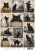 Bad Luck Kitty A4 Halloween Decoupage Rice Paper
