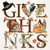 Thanksgiving Thanks Cocktail Napkin, Decoupage