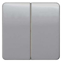 Siemens 5TG7925 DELTA PROFIL SIL,ROCKER 2-CIRCUIT