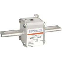 T300029 - A070UD31KI250