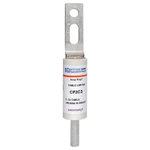 CP2C3