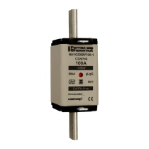 C229749 - NH1GG69V100-1
