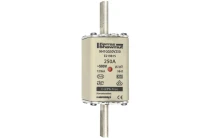 E219815 - NH1GG50V250