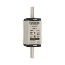 B216707 - NH1GG50V160-1