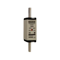 F219287 - NH0GG50V160-1