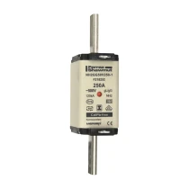 F218252 - NH2GG50V250-1