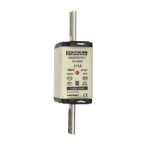 K219820 - NH2GG50V315-1