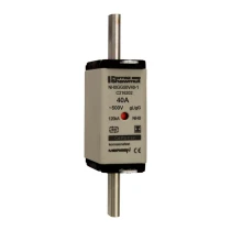 C216202 - NH0GG50V40-1