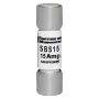 SBS15