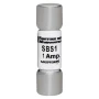 SBS1