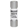 SBS10