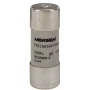 T217183 - FR22GG50V100P