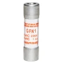 GFN1