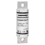 D100QS125-4Y