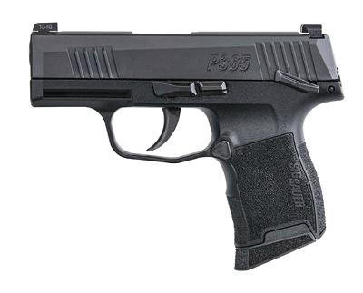 Sig p365 with safety holster choices