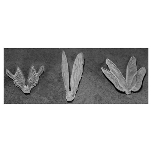 Bones: Clear Wings (3)